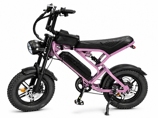 Fatbike V20 Pro Mini – Paars, Compact & Super Stoer